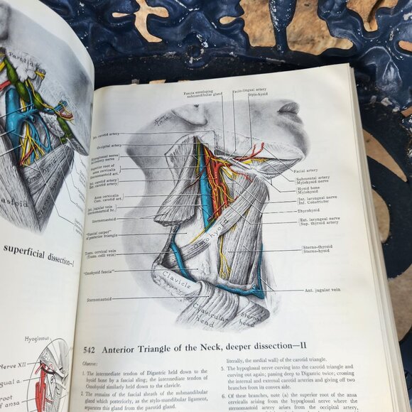 Grants Atlas Of Anatomy Sixth Edition Hardcover By J.C. Boileau Grant - Picture 11 of 15